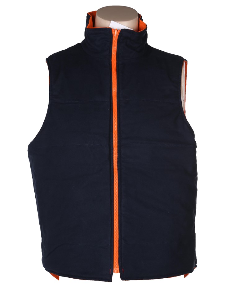 END OF LEASE SALE: Portable CarPlay