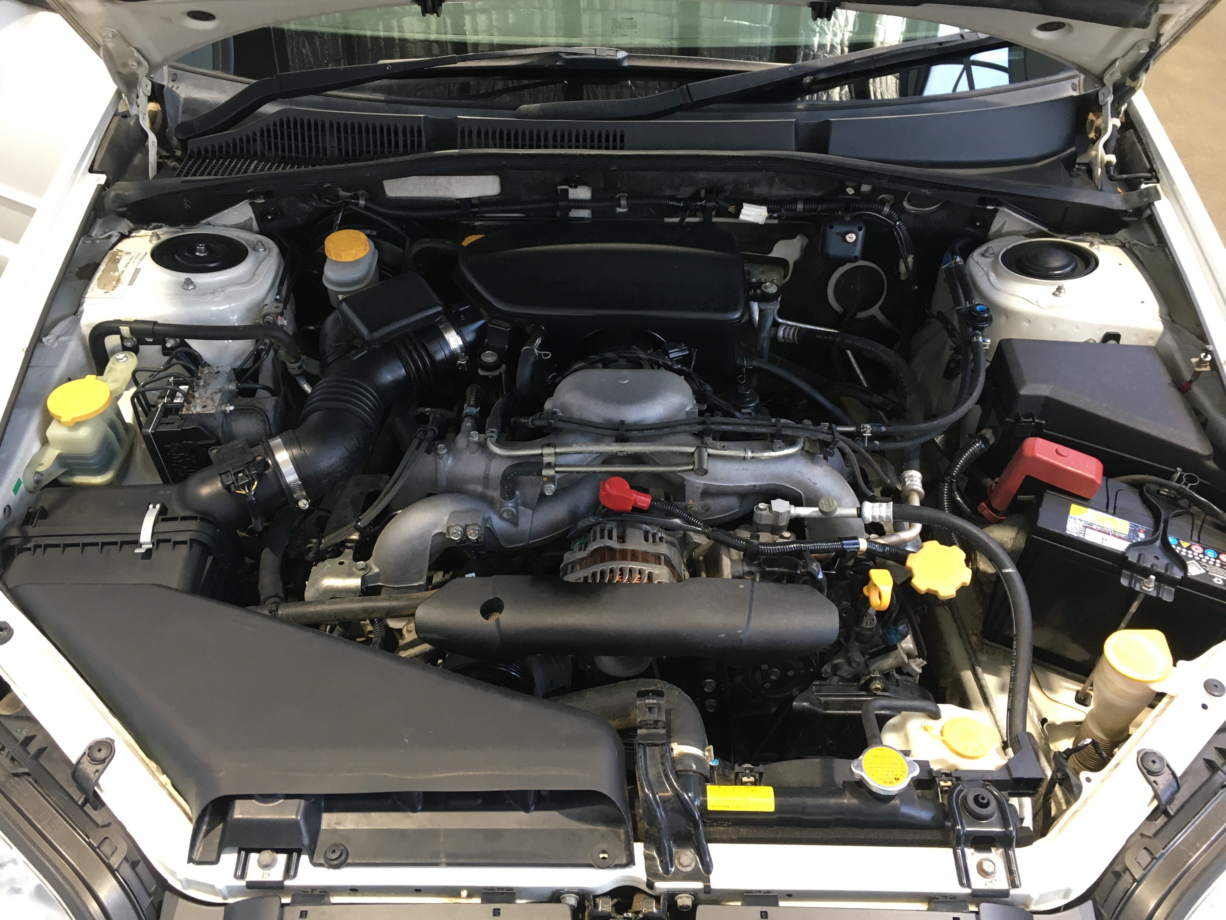 Wolf Blass Black Label Cabernet Shiraz Malbec 2019 (1x 750mL)