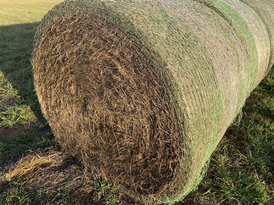 ELEGANT COMFORT Luxurious 1500 THC Microfiber Three Line Embroidered 4-Piec