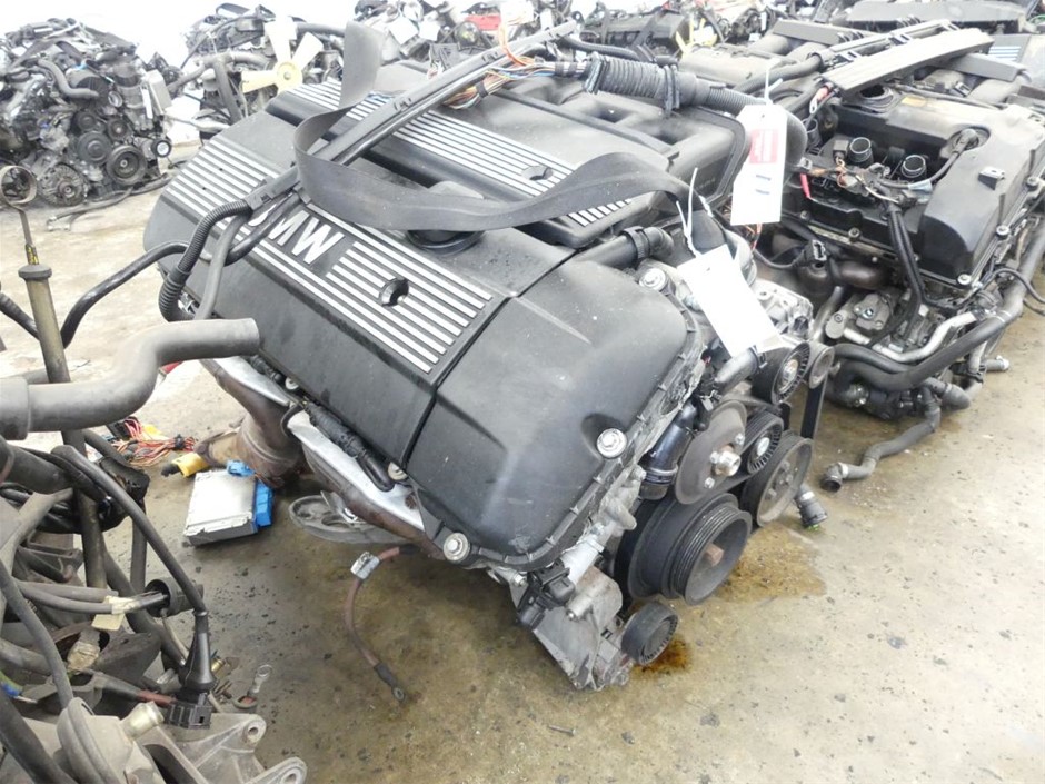 MUMOO BEAR 100 Pack Pet Training Pads (45x33cm).