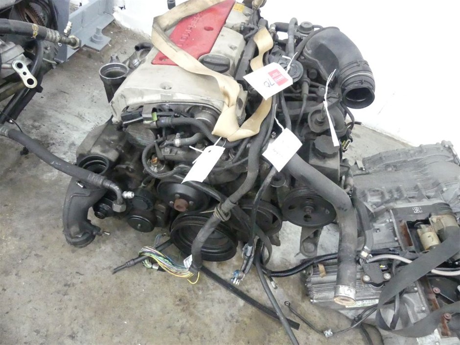 7-8mm Chocolate Potato Shape Pearl with Platinum Plated Bracelet