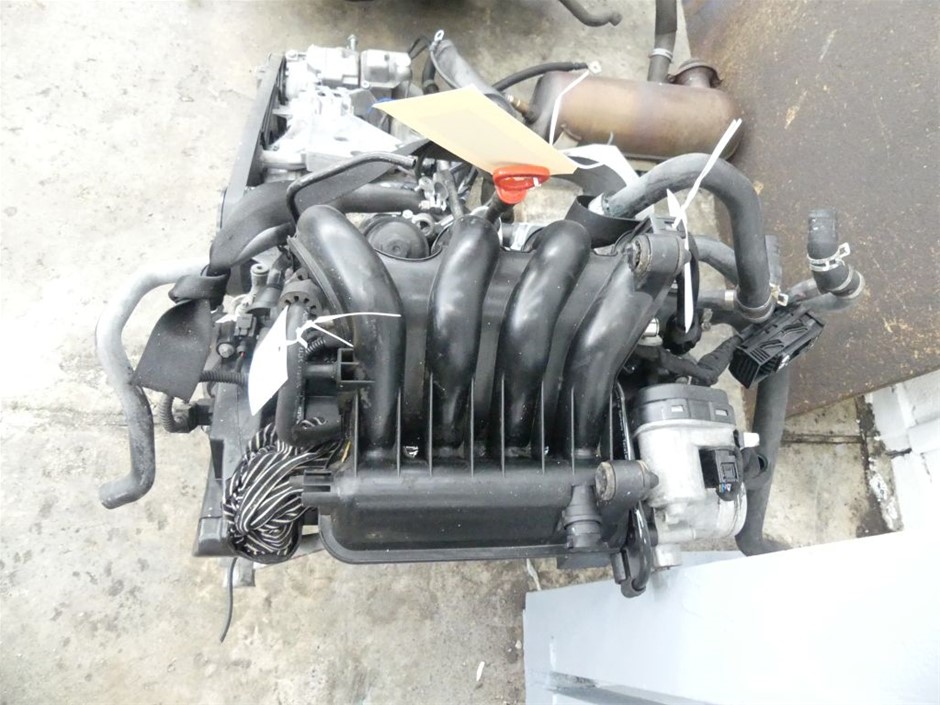 7-8mm Black Potato Shape Pearl with Platinum Plated Bracelet