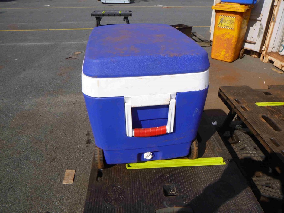 April Birthstone Crystal Wrap around Leather Bracelet