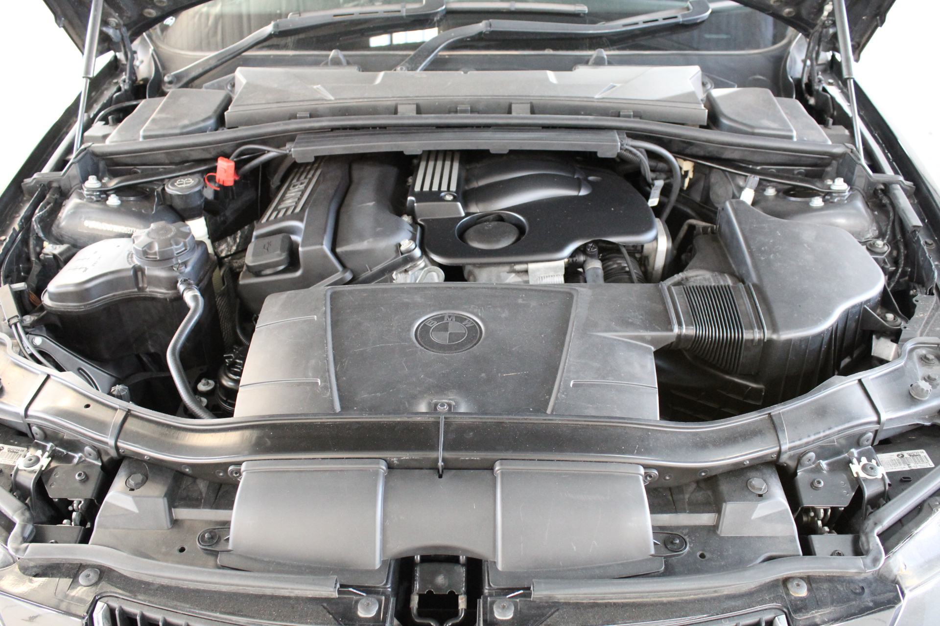 Designer Stainless Steel Feather Bracelet in Rose (adjustable)