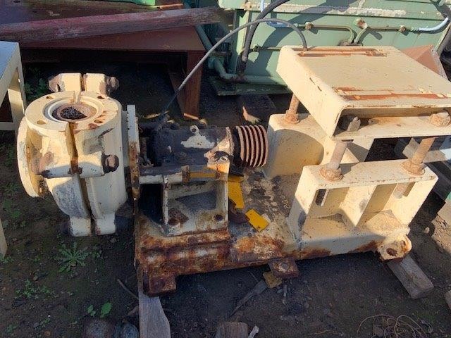 DISNEY Baby's 3pc Swimwear Set, Size 3-6M, Teal/Simba.  Buyers Note - Disco