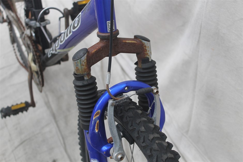 S/S Platform Scale "AND" – 600kg Capacity