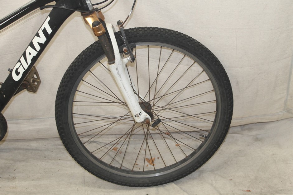 Pioneers First Patch Pinot Noir 2024 (12x 750mL) SA