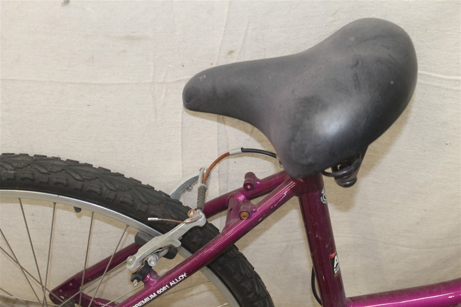 Roberts Estate Pinot Grigio 2024 (12x 750mL) SEA