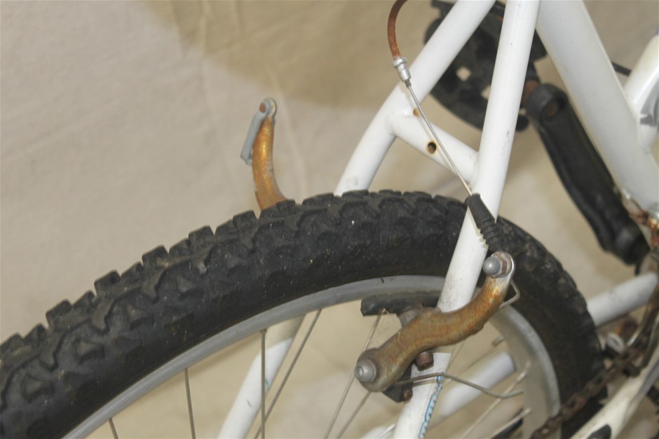 Voyager Estate Shiraz 2020 (6x 750mL) Margaret River, WA