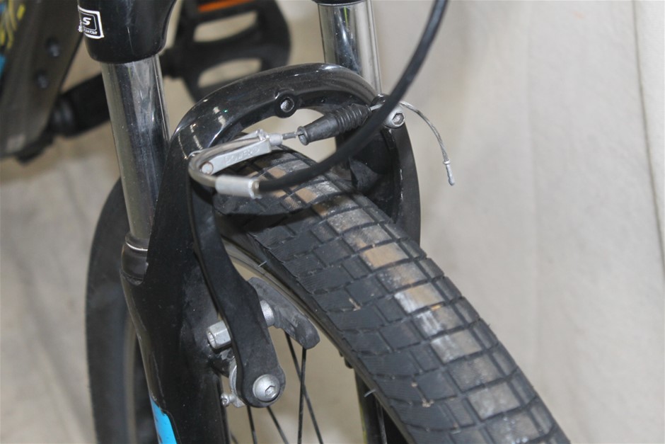 Lost Sheep Pinot Grigio 2025 (12x 750mL) SEA