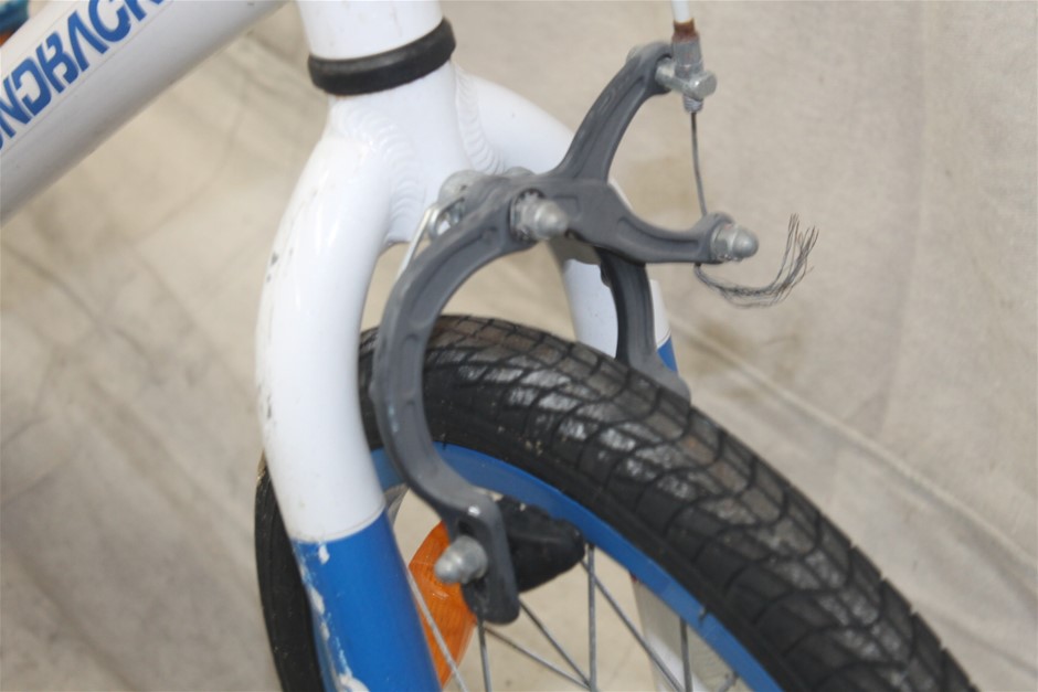 Cleanskin Riesling 2024 (12x 750mL) Clare Valley