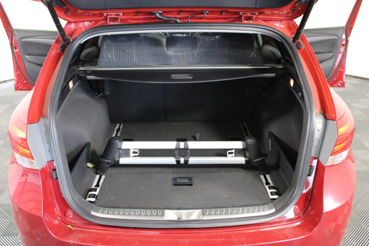 Cherry Blossom Jasper Gemstones & Swarovski® Crystal Earrings