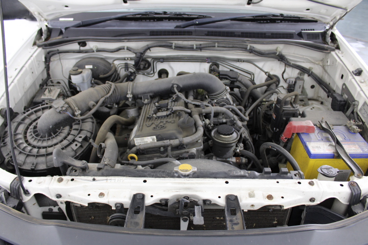 Stainless Steel Double Layer Choker "Clover"  Necklace