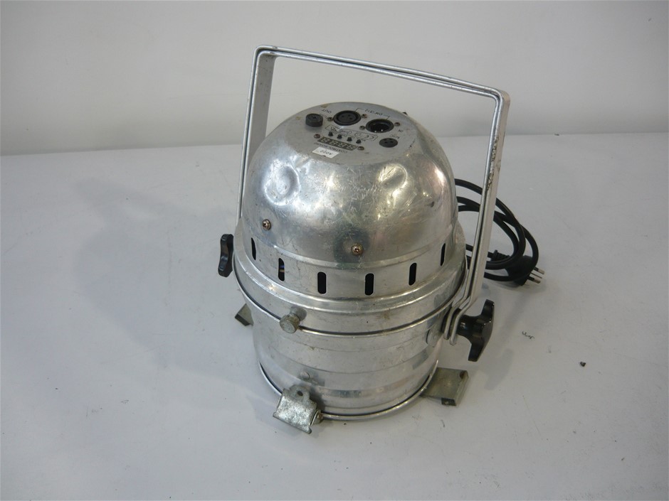 Cute Cat Earrings in Gold