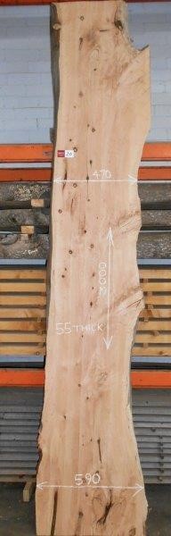 Casella Limited Release Cleanskin Shiraz 2013 (12x 750mL) Limstone Coast