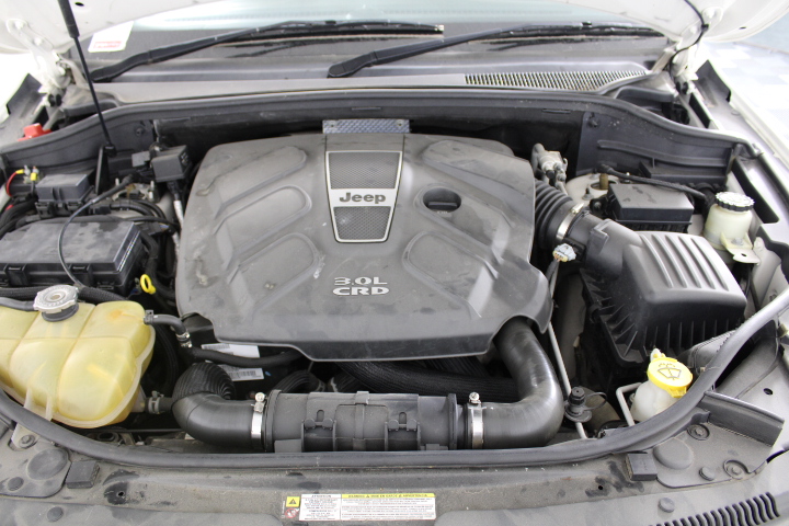 Death NYC Ltd Ed. Signed Graffiti Pop Art Print