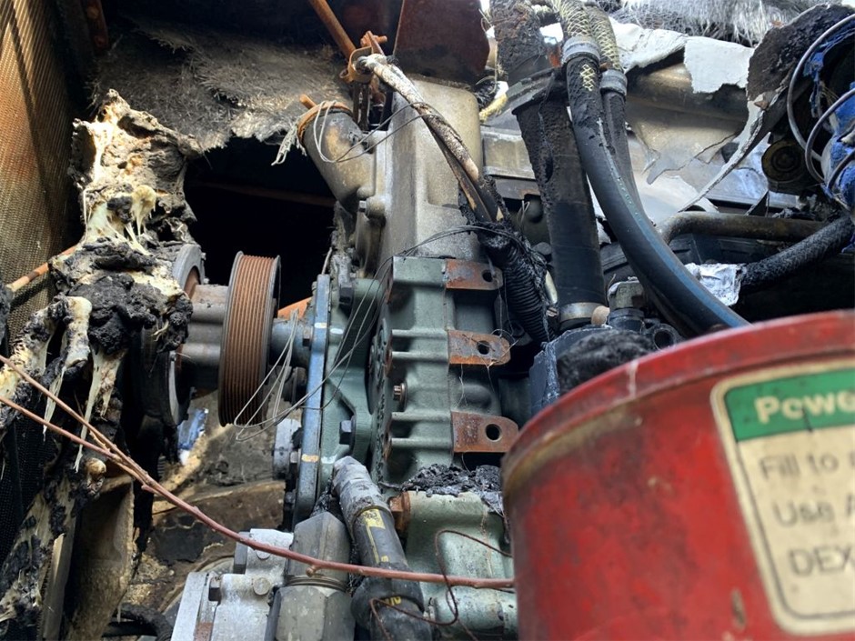 LACOSTE Women's Sneaker Baseshot Premium 124 1 SFA Sneakers, Light Brown/Of