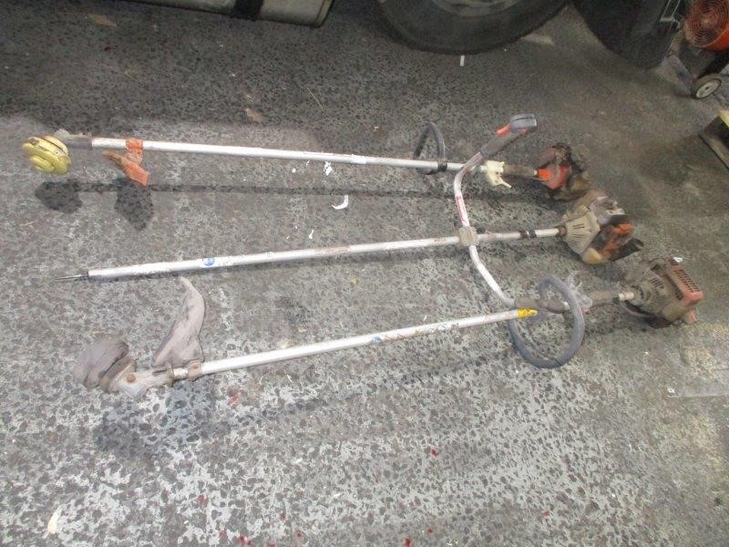 Elefante `El Valiente` Organic Tempranillo 2023 (6x 750mL) Coonawarra