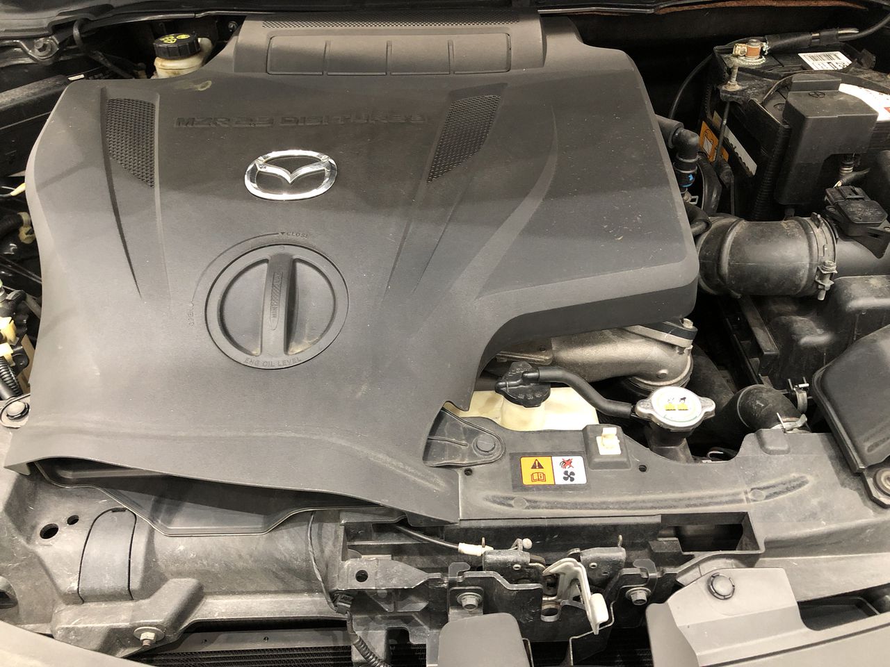 0.17 Carat Pink Oval shape diamond West Australia-Kimberley region