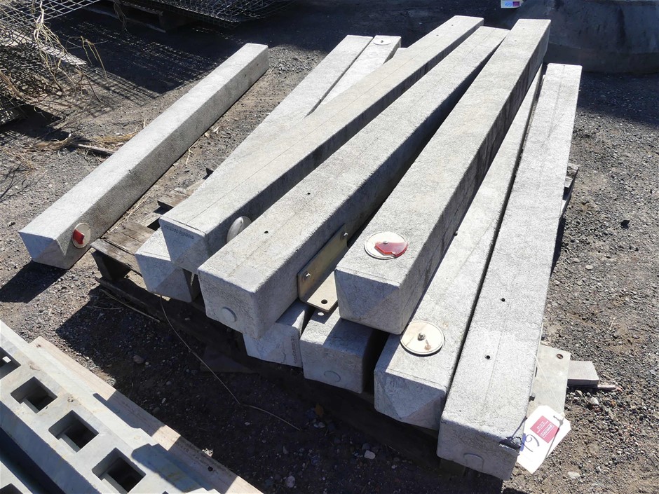 1/10 Oz 999.5 Silver Red Kangaroo & Joey 2025 Australian Bullion