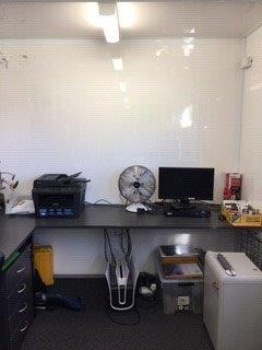 NEW!! LIMITED 2024 BLUEY DOLLARBUCK & BINGO $1 DOLLAR UNC Coin 2 CARD SET