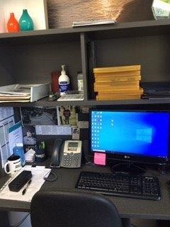 1/10 Oz 999.5 Silver Red Kangaroo & Joey 2025 Australian Bullion