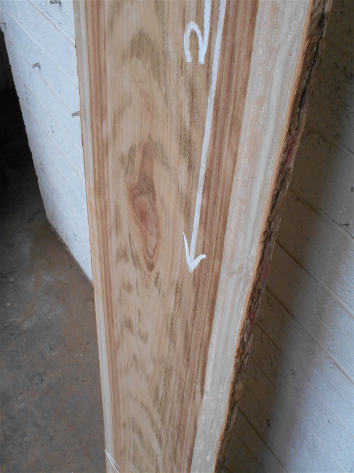 Byrne Estate Grown Cabernet Sauvignon 2023 (12x 750mL) South Australia