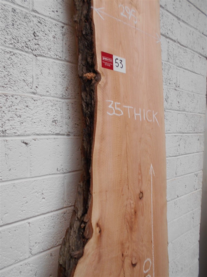 Thomson Estate Stony Row Riesling 2025 (12x 750mL) SA