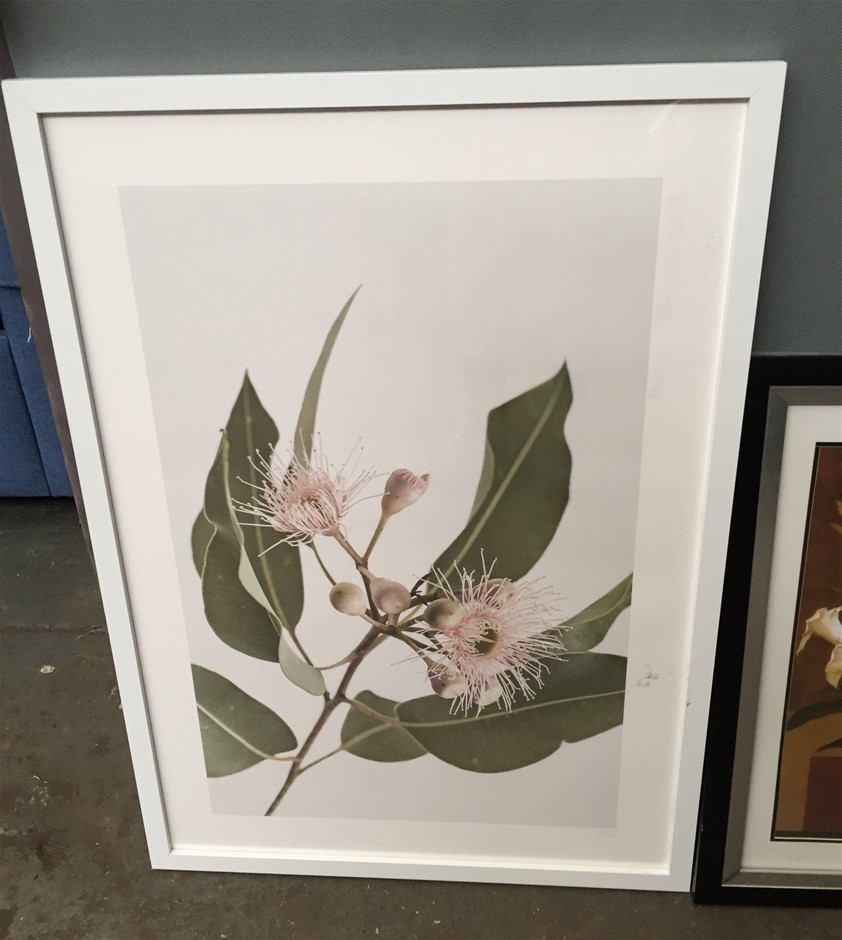 Devil's Lair Fifth Leg Rose (6x 750mL) .Current Vintage Release.