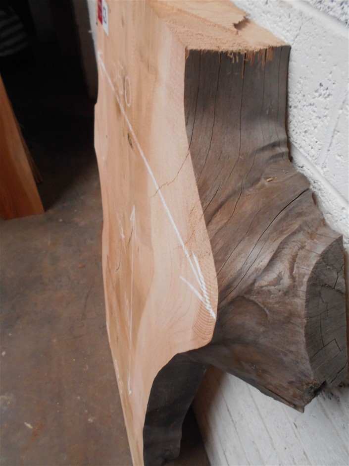 Shared Tempranillo 2021 (6x 750mL) SA