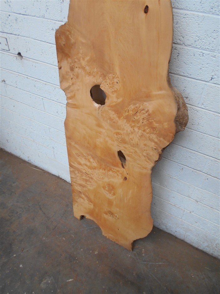 Echo Bay Cabernet Merlot 2024 (12x 750mL) SEA