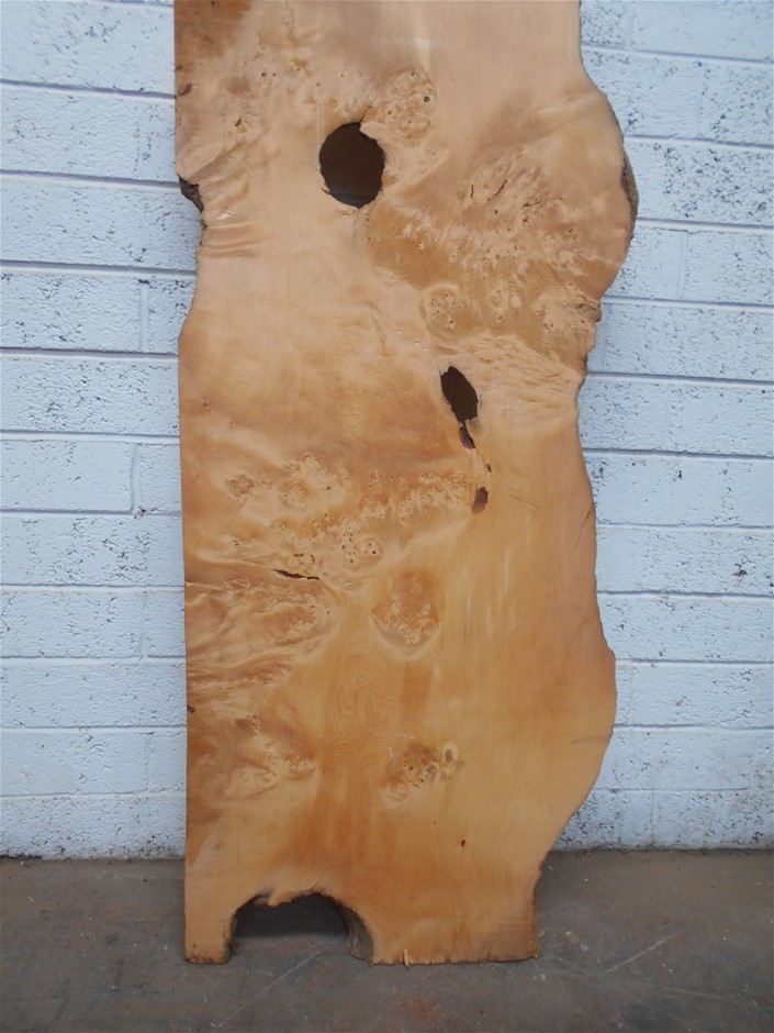 Echo Bay Pinot Grigio 2025 (12x 750mL) SEA