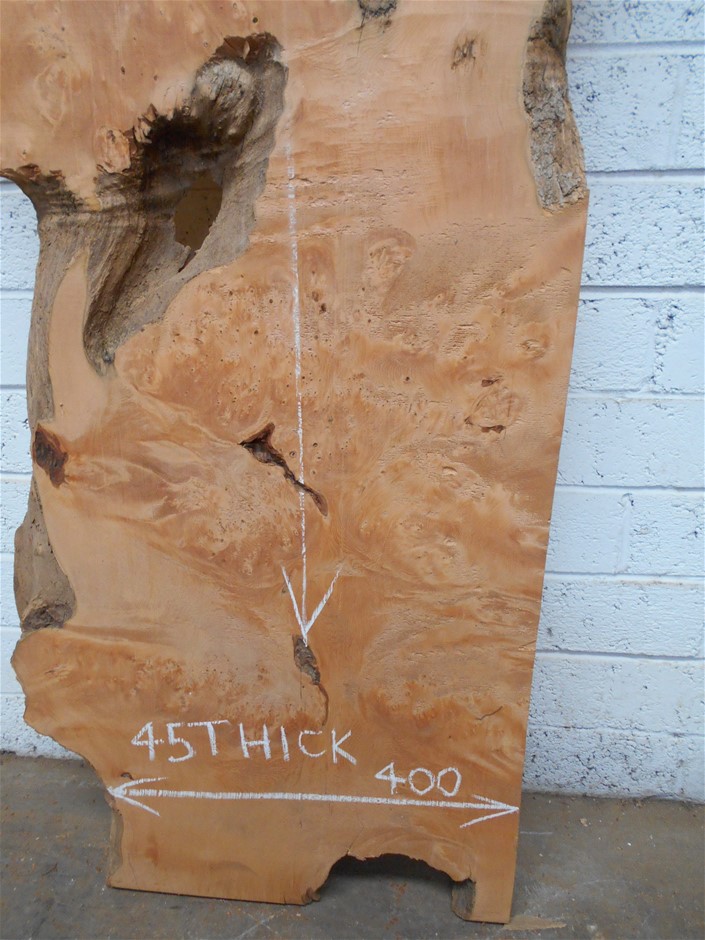 2 Monkeys Chardonnay 2025 (12x 750mL) SEA