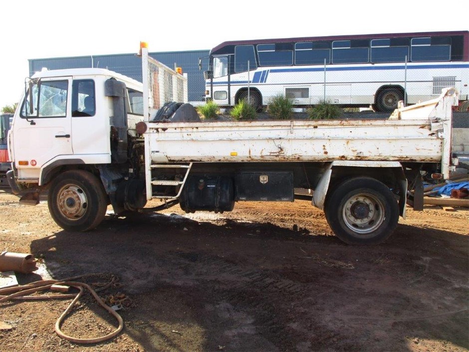 Designer Simulated Diamond Gold, Black & White Climbing Leopard Brooch Pin