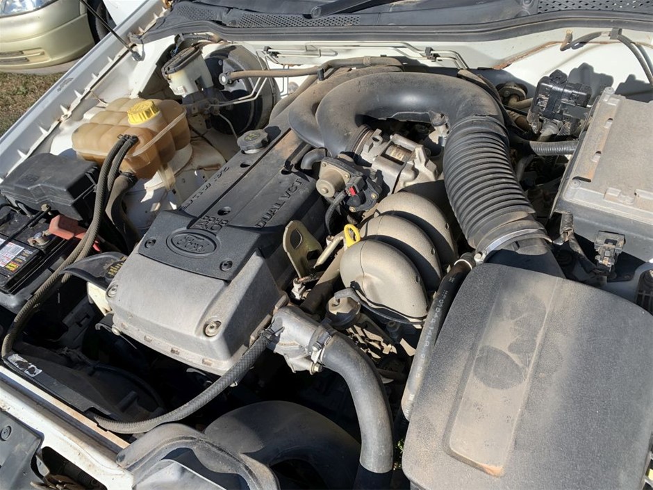 7-8mm Black Pearl with Rhinestones & CZ Rhodium Plated Bracelet