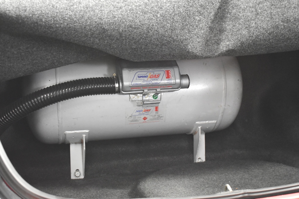 ADORA - Realistic 18-inch  Doll - "STARLET HARPER". Soft, Huggable Body. Mo