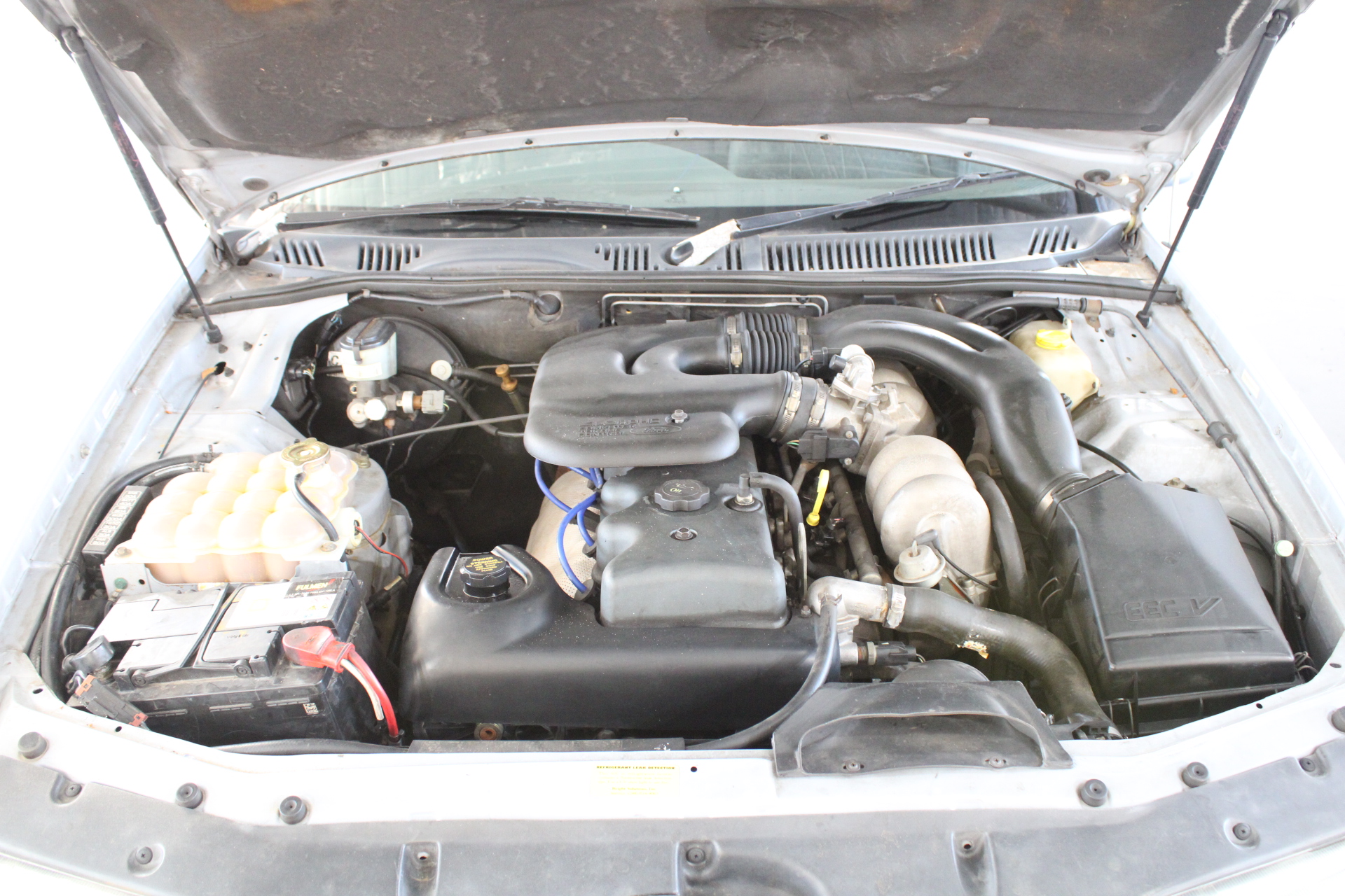 12x Little Trees Black Ice Air Freshener