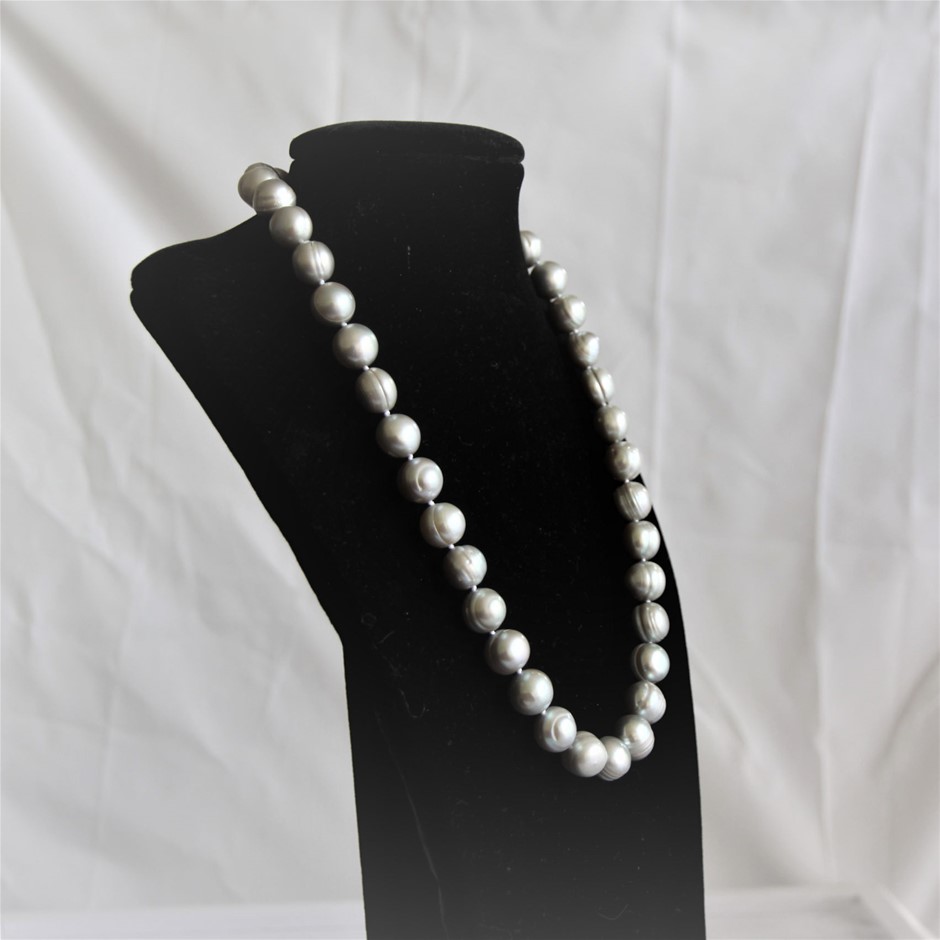 The Drover Rose 2025 (12x 750mL) SEA