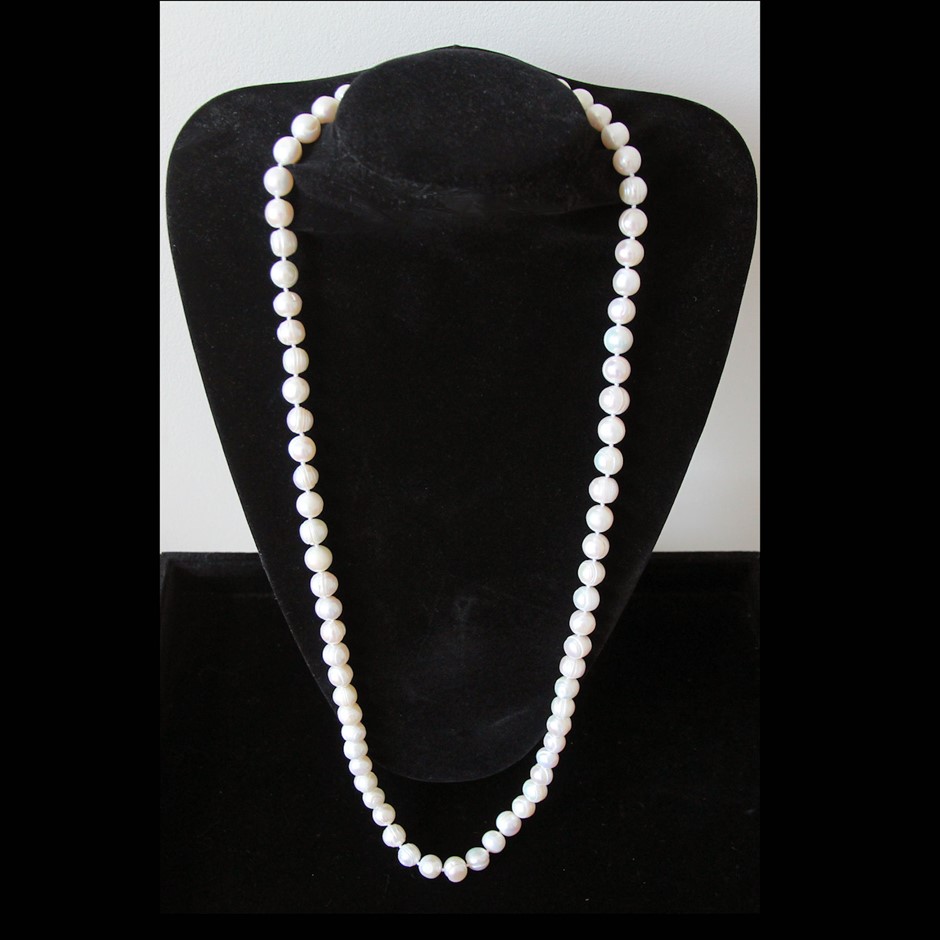 Inspired Company Shiraz Cabernet 2023 (12x 750mL) SEA