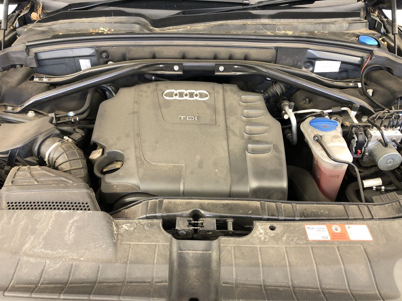 Lindeman's Early Harvest Shiraz (6x 750mL).