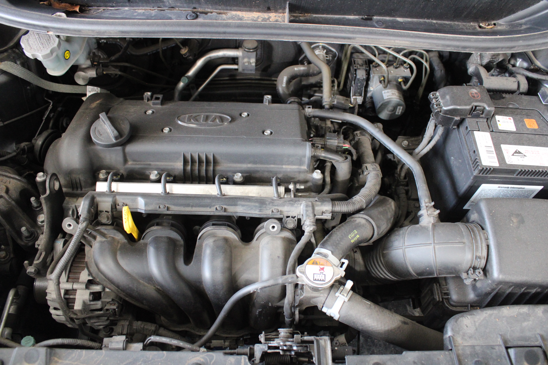 BIJ'OR-20 Inch, 18ct  Curb Chain Necklace with Lobster Clasp,RRP $159