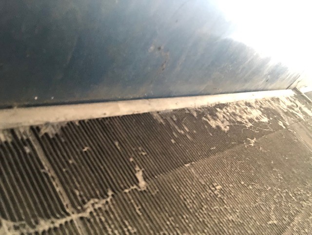 1.50ct Oval Cut GRA Certified Moissanite 925 Sterling Silver Ring - Size 7