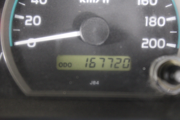 6-7mm Black Pearl & Rhinestone Real Platinum Plated Bracelet