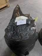 AU PreDecimal Bank Note Set Limited Edition Rare Banknote Album-Gold Plated