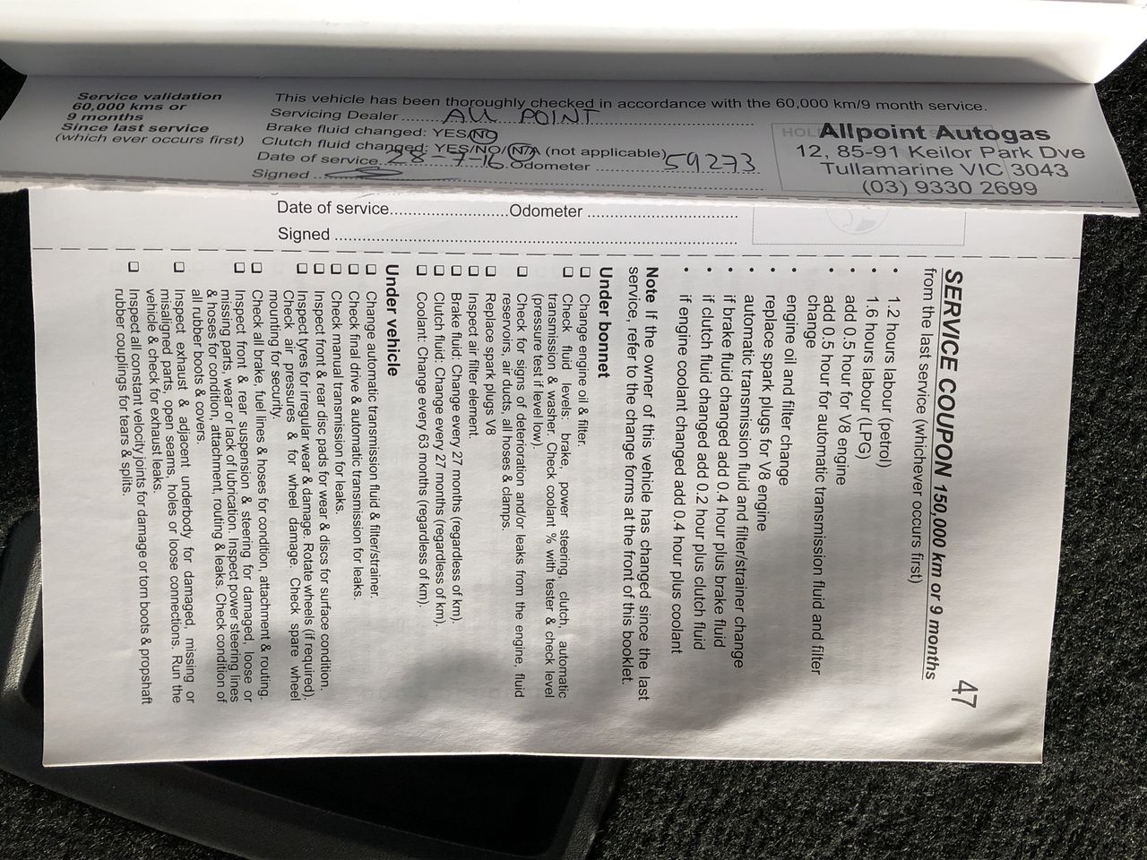 Designer Stainless Steel Feather Pendant Necklace