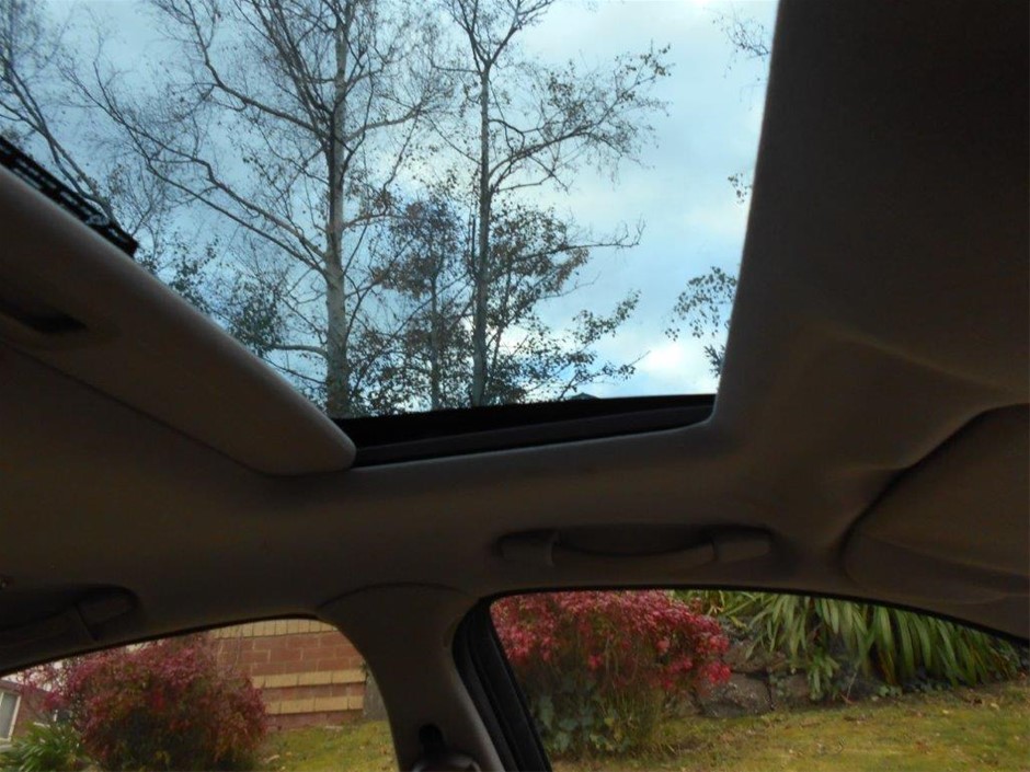 NEW!! LIMITED 2024 BLUEY DOLLARBUCK & BINGO $1 DOLLAR UNC Coin 2 CARD SET