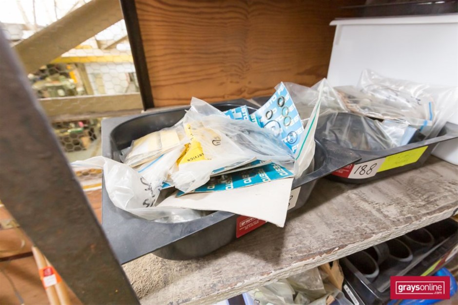 Pioneers First Patch Tempranillo 2024 (12x 750mL) SA