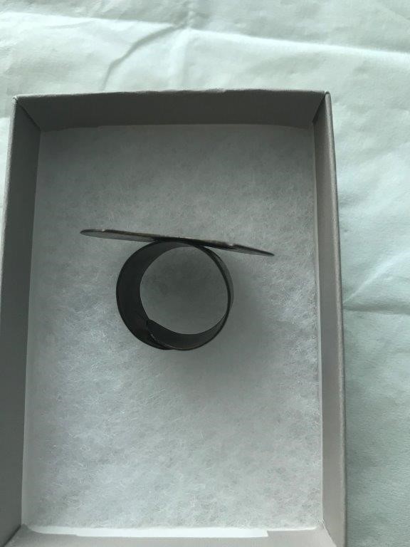 Mega Absol ex Japanese ultra rare card.