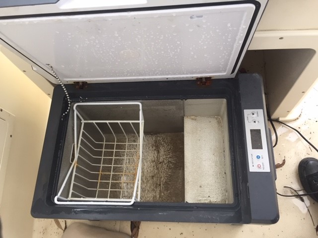 NEW!! LIMITED 2024 BLUEY DOLLARBUCK & BINGO $1 DOLLAR UNC Coin 2 CARD SET