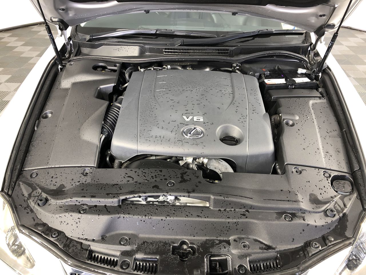 Wolf Blass Yellow Label Moscato  (6x 750mL). Current Vintage Release